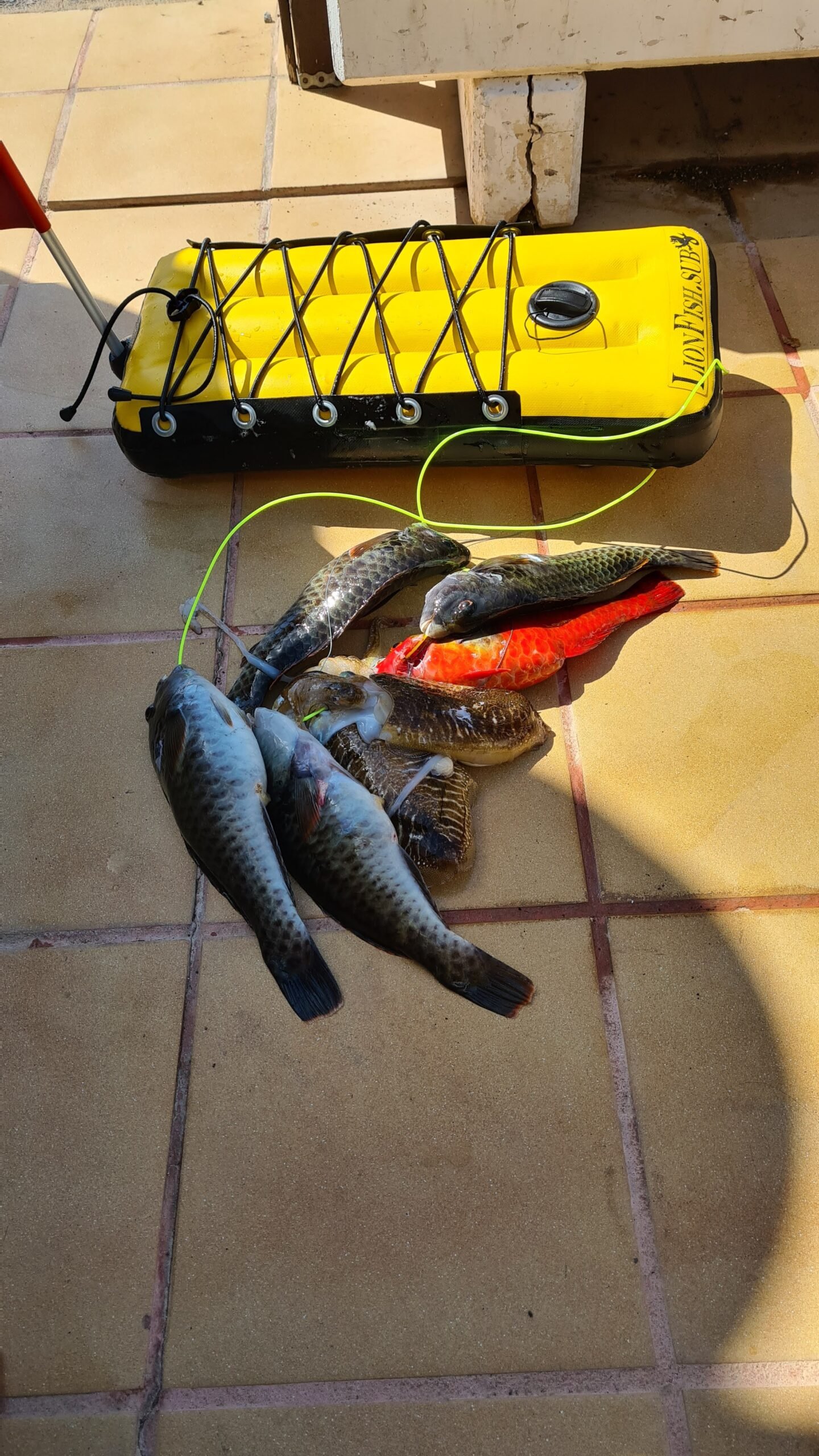 spearlab rykliukas bujus lenta lionfishsub povandeninei medzioklei www.rykliukas.lt spearfishing lithuania spearfishing float bujus medzioklei nardymui (2) navigator bbb