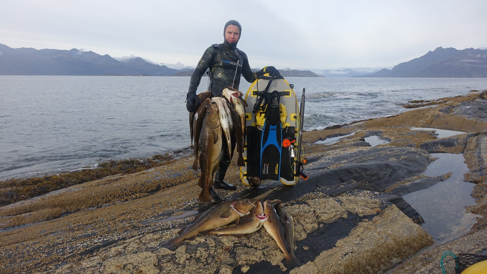 greito nuemimo svoris_saplast automatic www.rykliukas.lt tortuga svoriu liemene diing weight system spearlab rykliukas spearfishing freediving povandenines medziokles parduotuve
